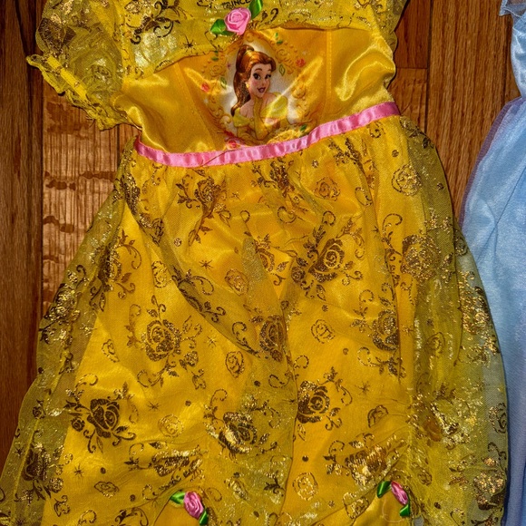 Disney Princess Nightgowns (Belle & Elsa) - Picture 3 of 7